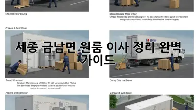 세종 금남면 원룸 이사 정리 완벽 가이드