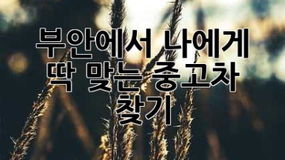 부안에서 나에게 딱 맞는 중고차 찾기